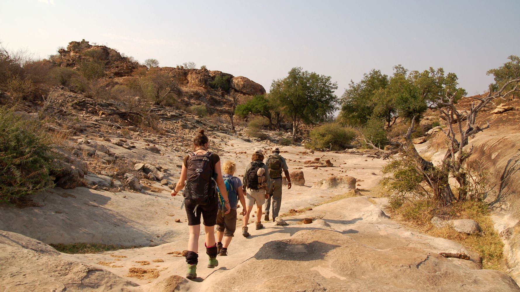 landingpage-naturreise-afrika-game-walk-natucate