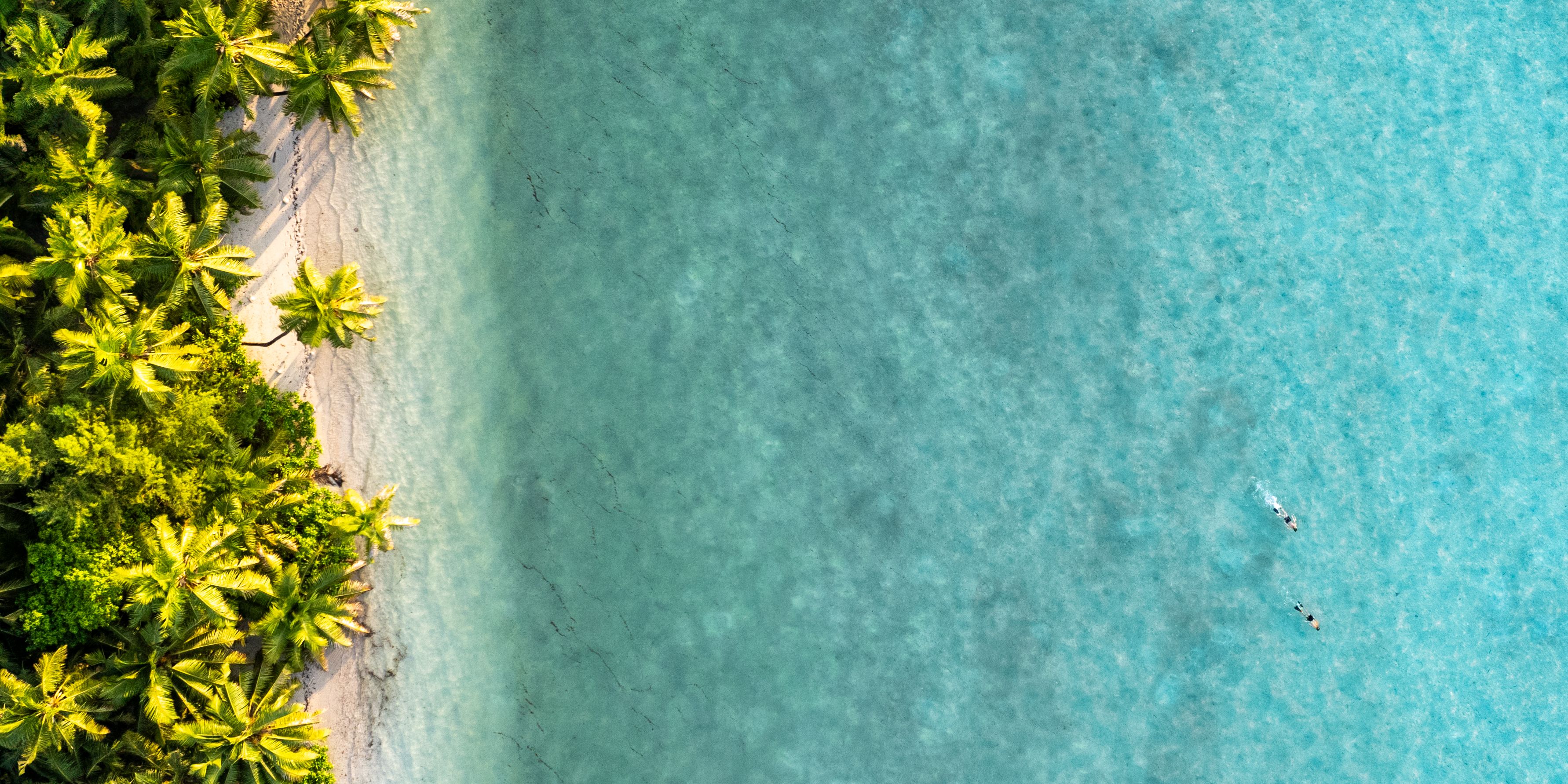 natucate-travel-volunteering-seychelles-platte-island-water-beach