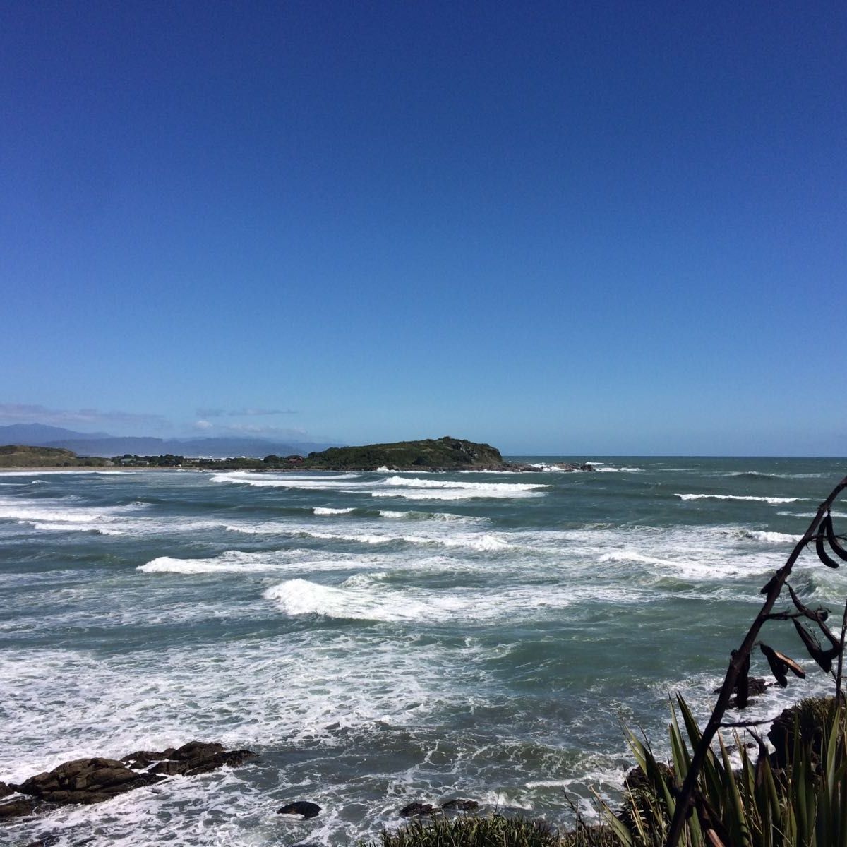 Auslandsaufenthalt in Neuseeland: Eine Bucht mit Blick auf den Pazifik
