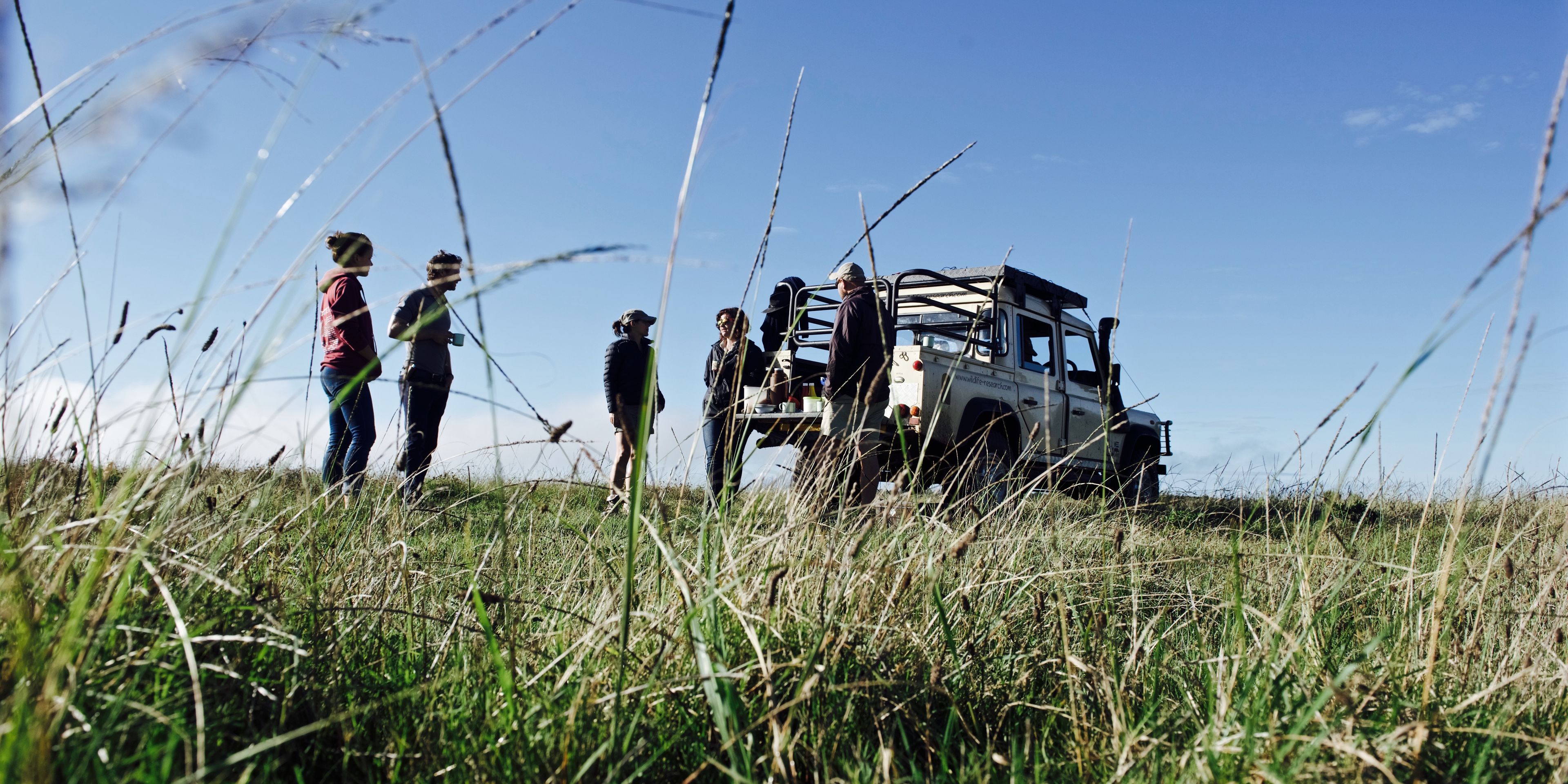Artenschutz-Volunteers in Suedafrika lernen ueber die afrikanische Pflanzenwelt.