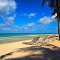 kenia-laenderinformationen-diani-beach-starnd-palmen-natucate