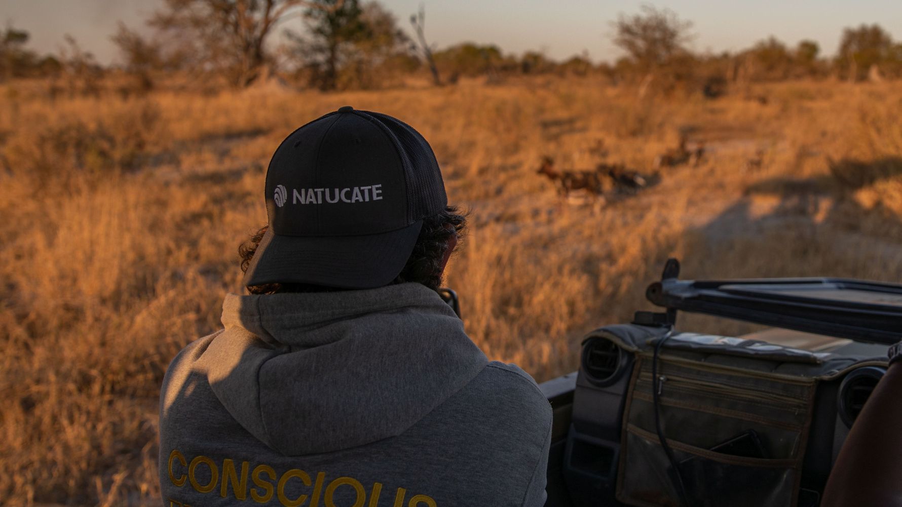 landingpage-auslandsjahr-abitur-afrika-wildhund-natucate