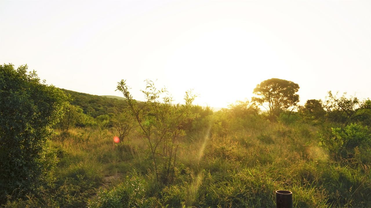 freiwilligenarbeit-suedafrika-erfahrungsbericht-kundenfotos-artenschutz-natur-natucate