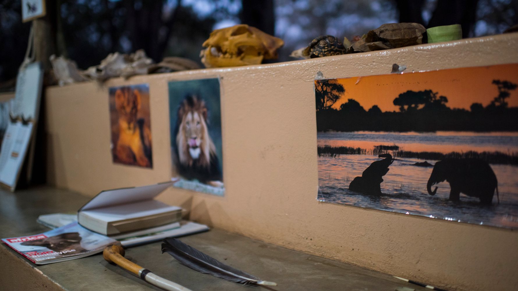 blog-camp-selati-lehrmaterialien-unterricht-natucate