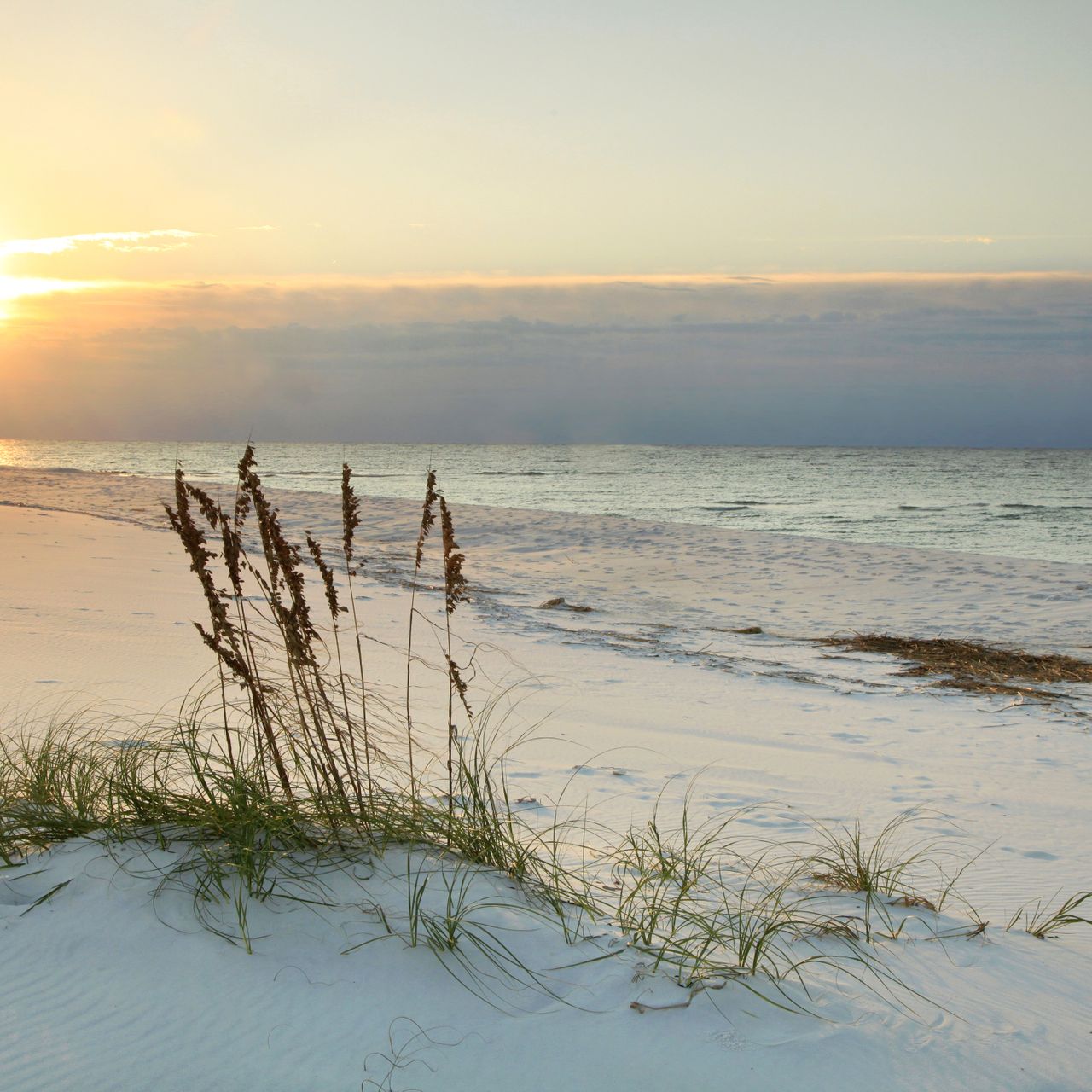 erfahrungsbericht-florida-usa-volunteering-tierschutz-strand-natucate