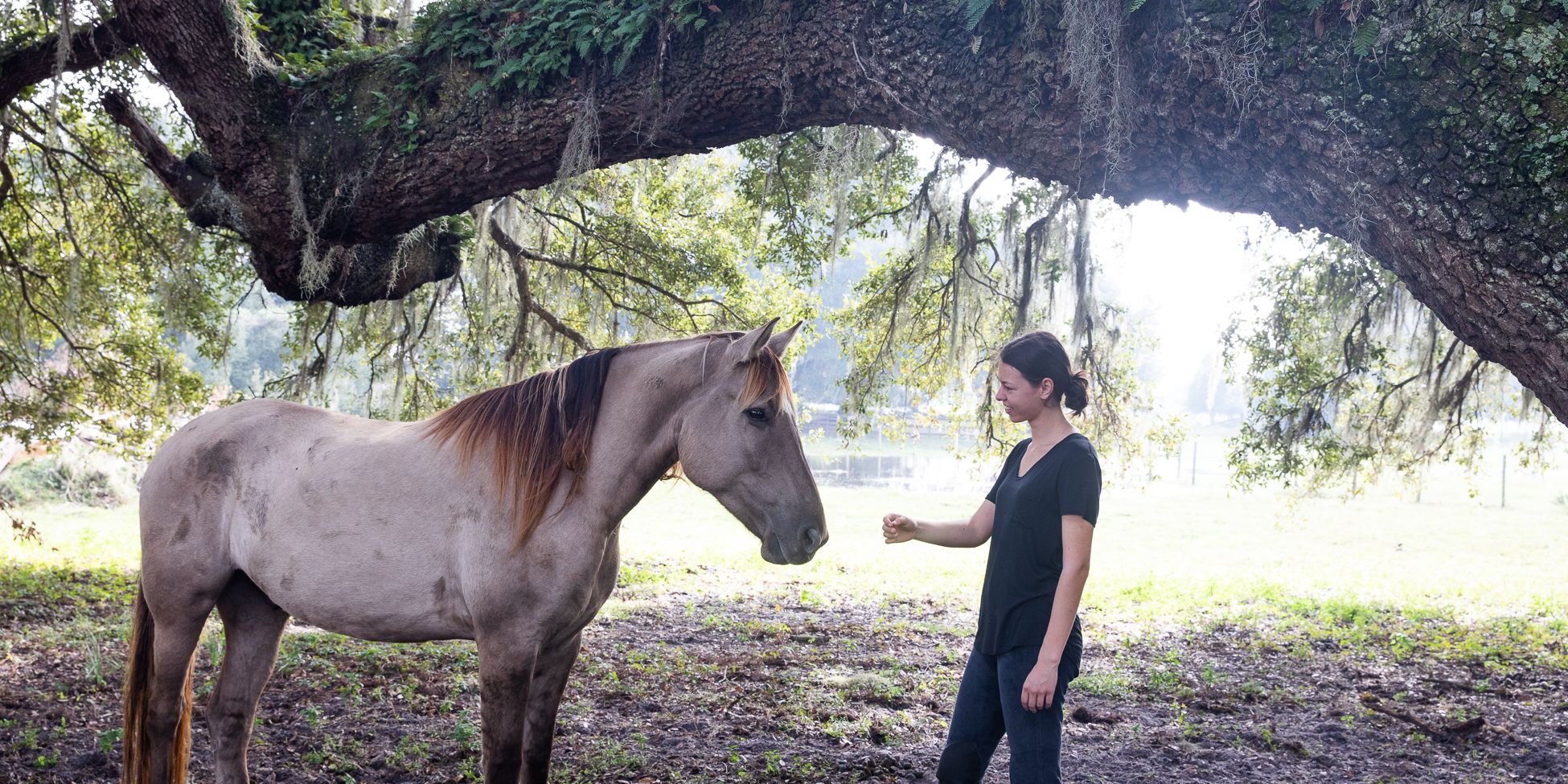 Eine Freiwillige Helferin versorgt ein Pferd während sie unter einem Baum steht