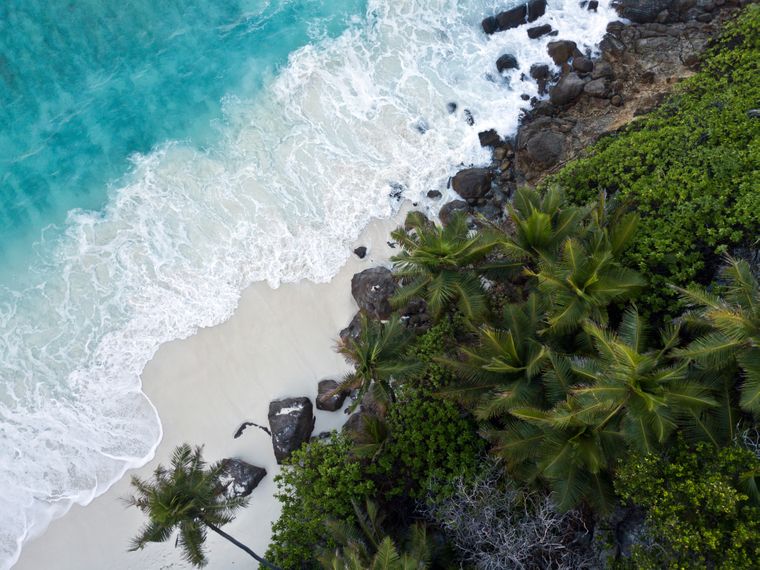 Drone shot of North Island in the Seychelles: The indian Ocean meets the island's palm beach
