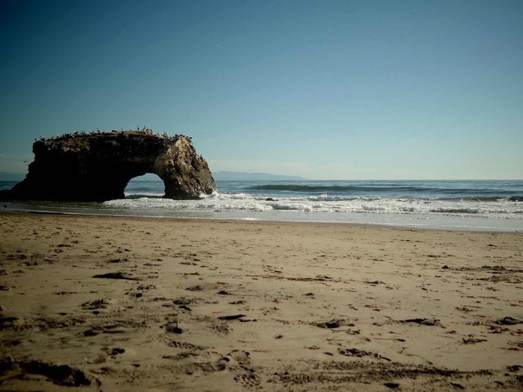 freiwilligenarbeit-usa-kalifornien-erfahrungsbericht-naturschutz-kueste-natucate