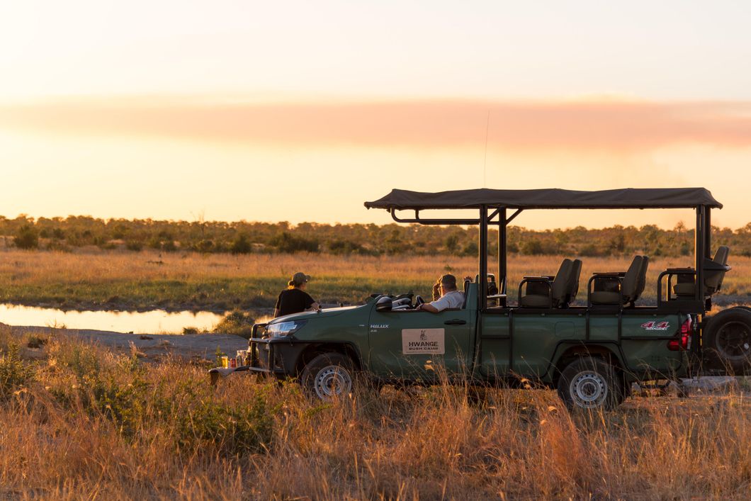 natucate-safari-zimbabwe-hwange-toyota-game-drive