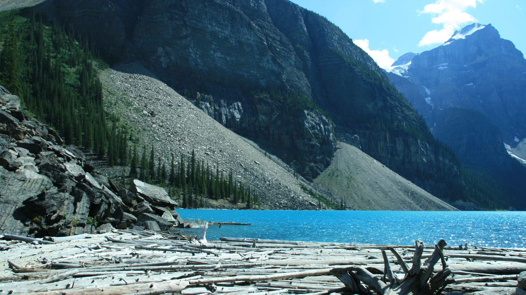 blog-ratgeber-kanada-alberta-see-treibholz-natucate