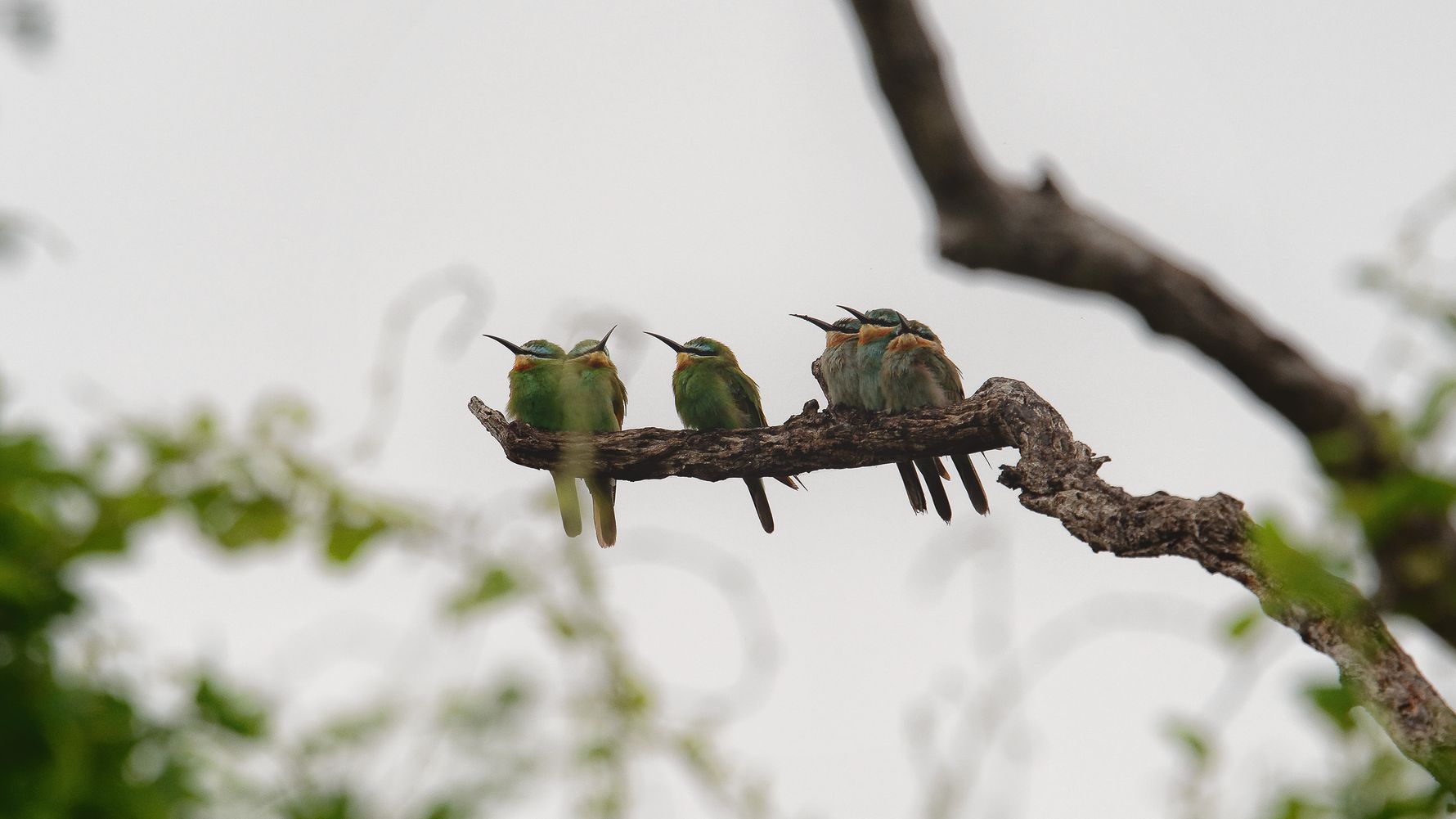blog-sabbatjahr-oeffentlicher-dienst-voegel-natucate