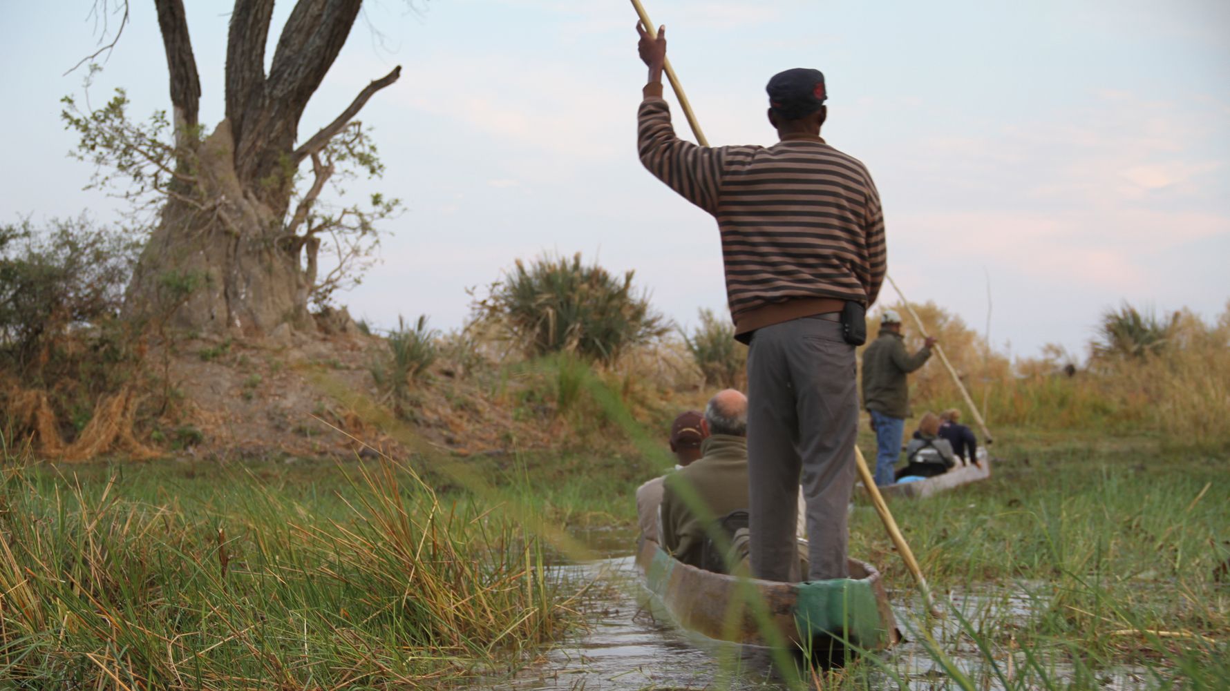 blog-ratgeber-fuenf-gruende-safari-botswana-mokoro-natucate