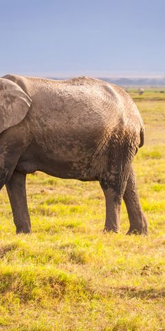 natucate-reise-sabbatical-suedliches-afrika-titelbild