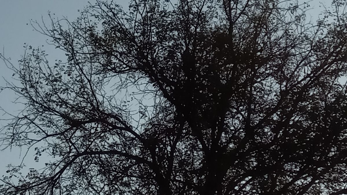 erfahrungsberichte-suedliches-afrika-pfg-rangerausbildung-vogel-natucate