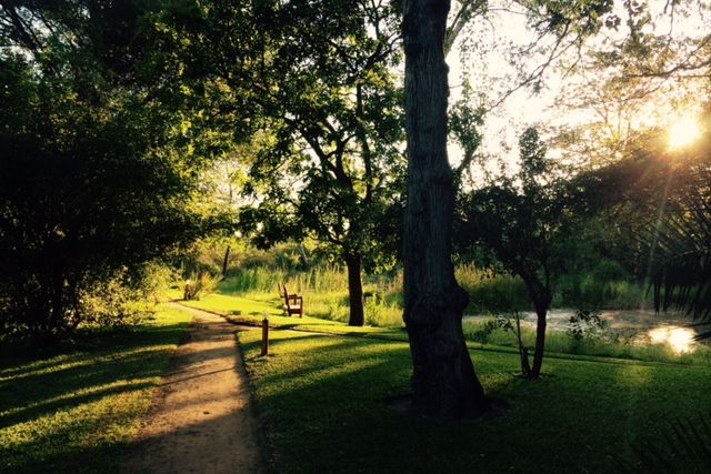 safari-sambia-von-livingstone-bis-kafue-chundukwa-garten-sonne-natucate