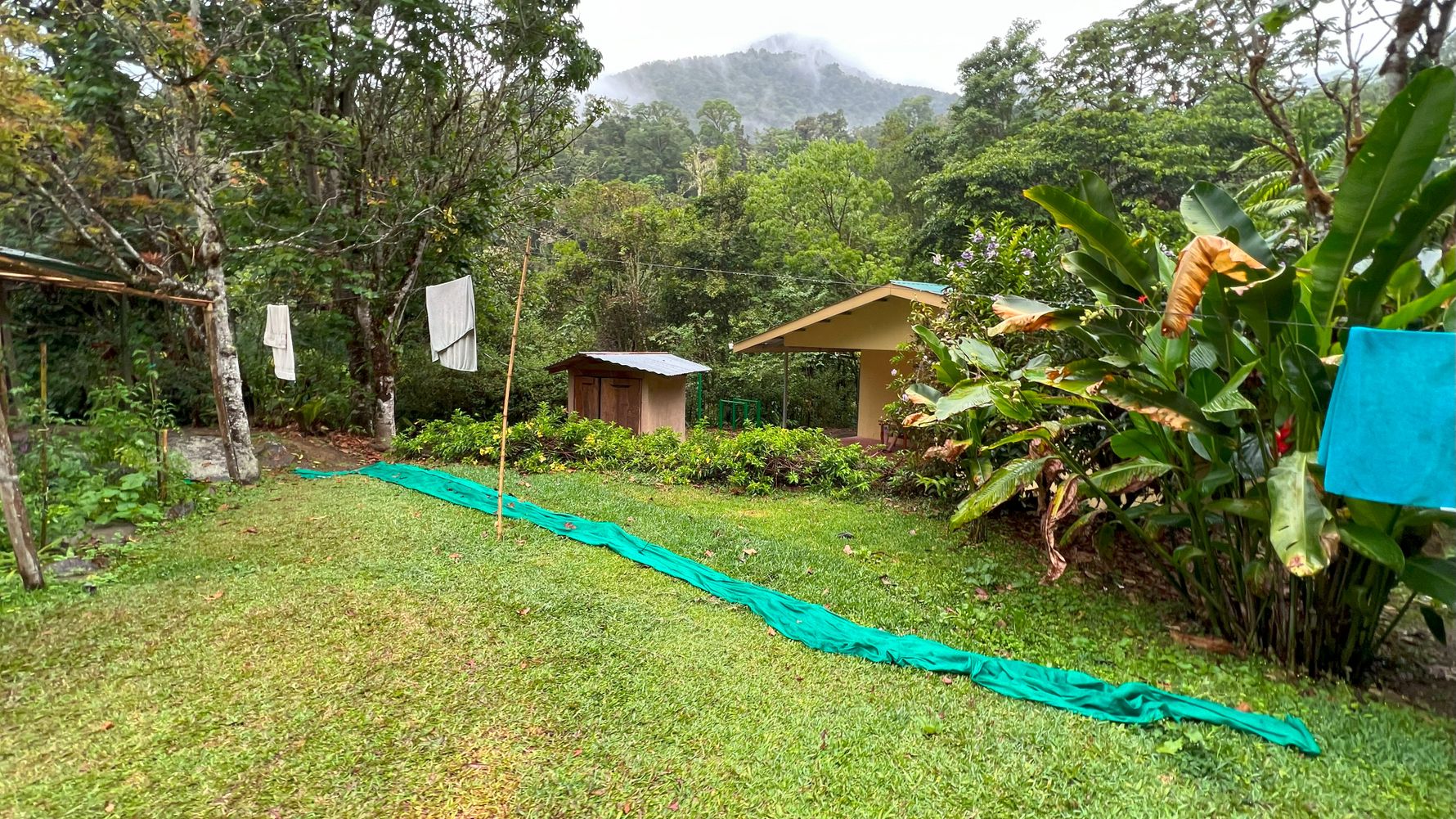 erfahrungbericht-jarne-freiwilligenarbeit-costa-rica-waldschutz-2