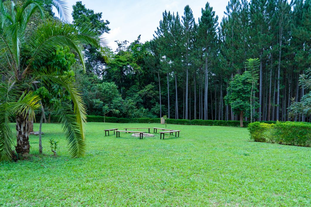 natucate-volunteering-uganda-chimpanzee-project-itohya-area