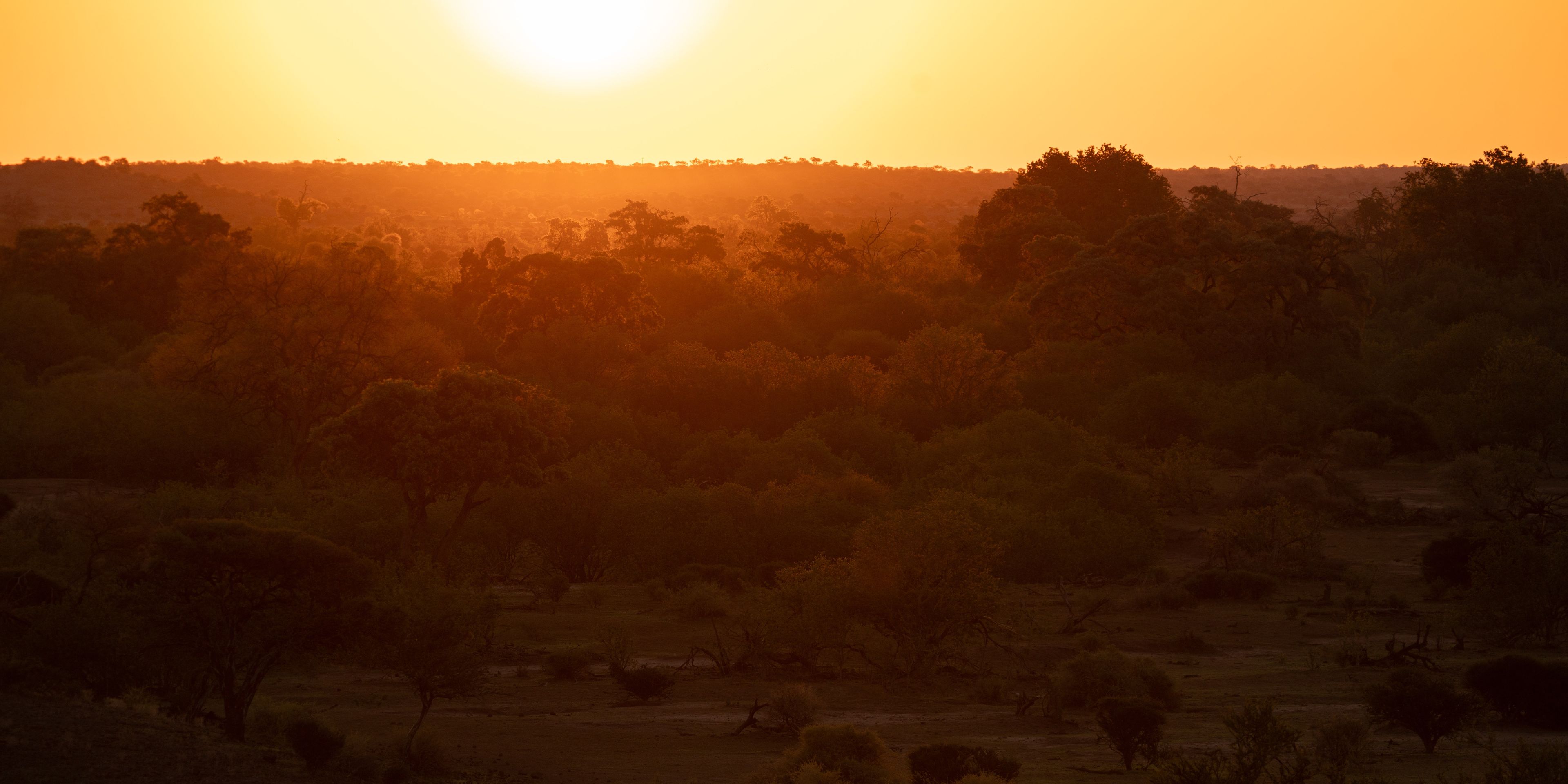 natucate-guide-course-south-africa-et-svenja-mashatu-sunset