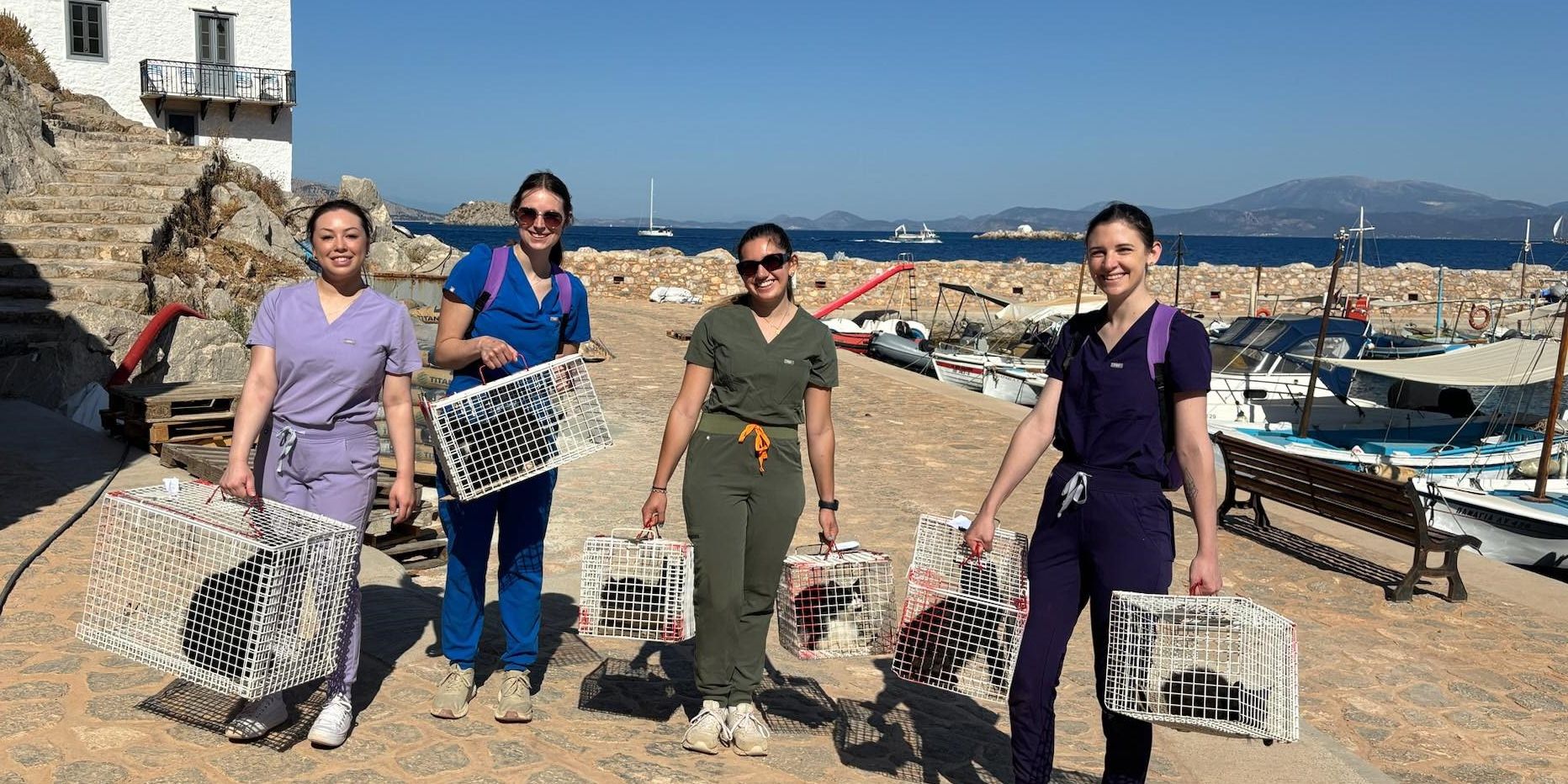 natucate-praktikum-griechenland-tiermedizin-katzen-kaefig-transport