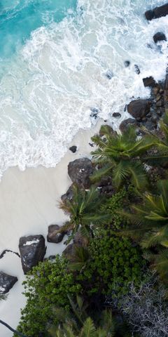 Drohnenaufnahme der Seychellen-Insel North Island: Der Indische Ozean trifft auf den Palmenstrand