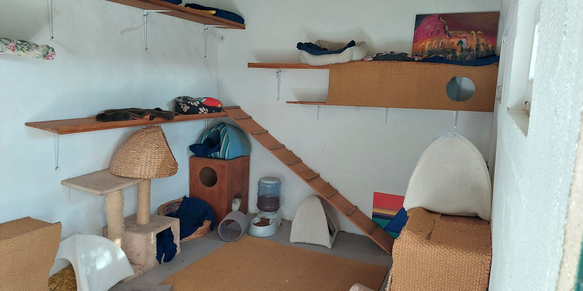 Der Innenbereich für die Katzen ist mit vielen Körbchen sowie erhöhten Flächen ausgestattet