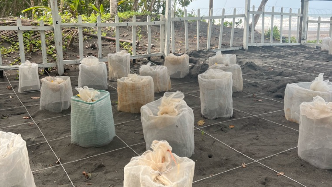 erfahrungsberichte_freiwilligendienst_costa-rica-julia-station