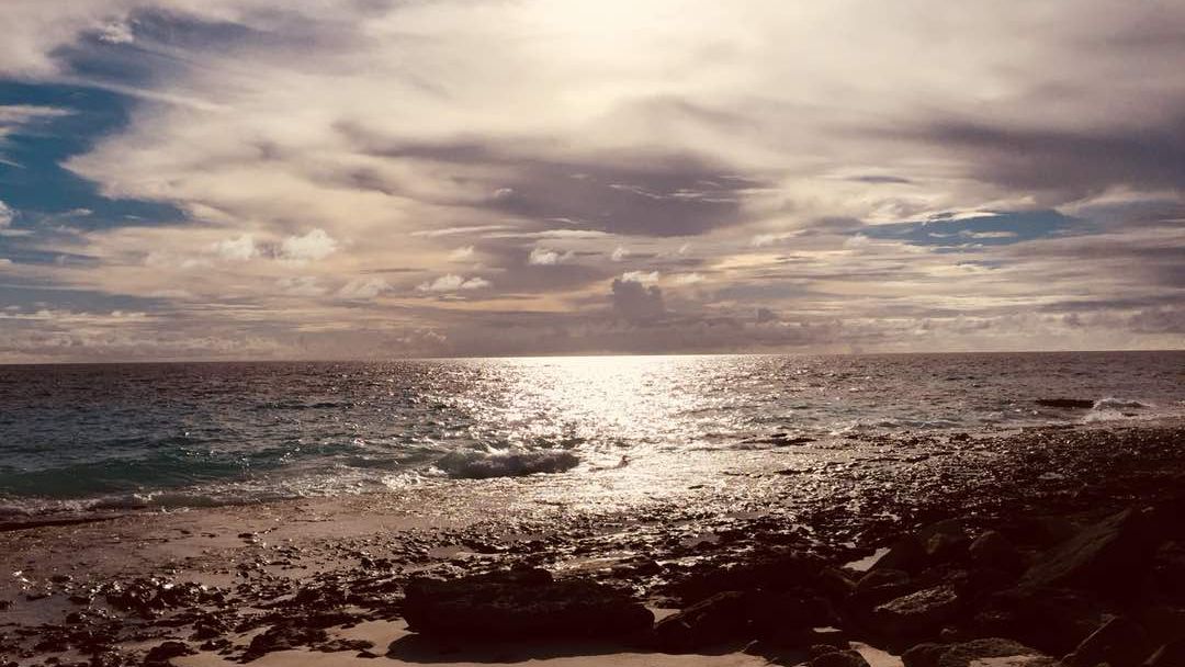 freiwilligenarbeit-seychellen-erfahrungsbericht-artenschutz-kundenfotos-wasser-natucate