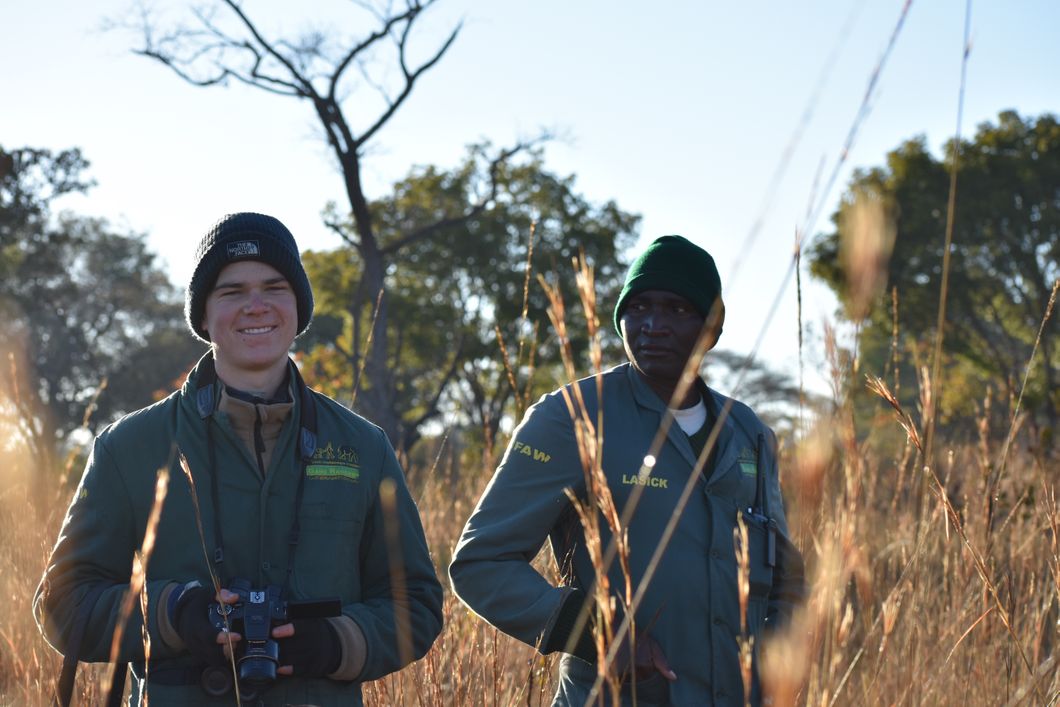 freiwilligenarbeit-sambia-artenschutz-volunteers-kafue-nationalpark-natucate
