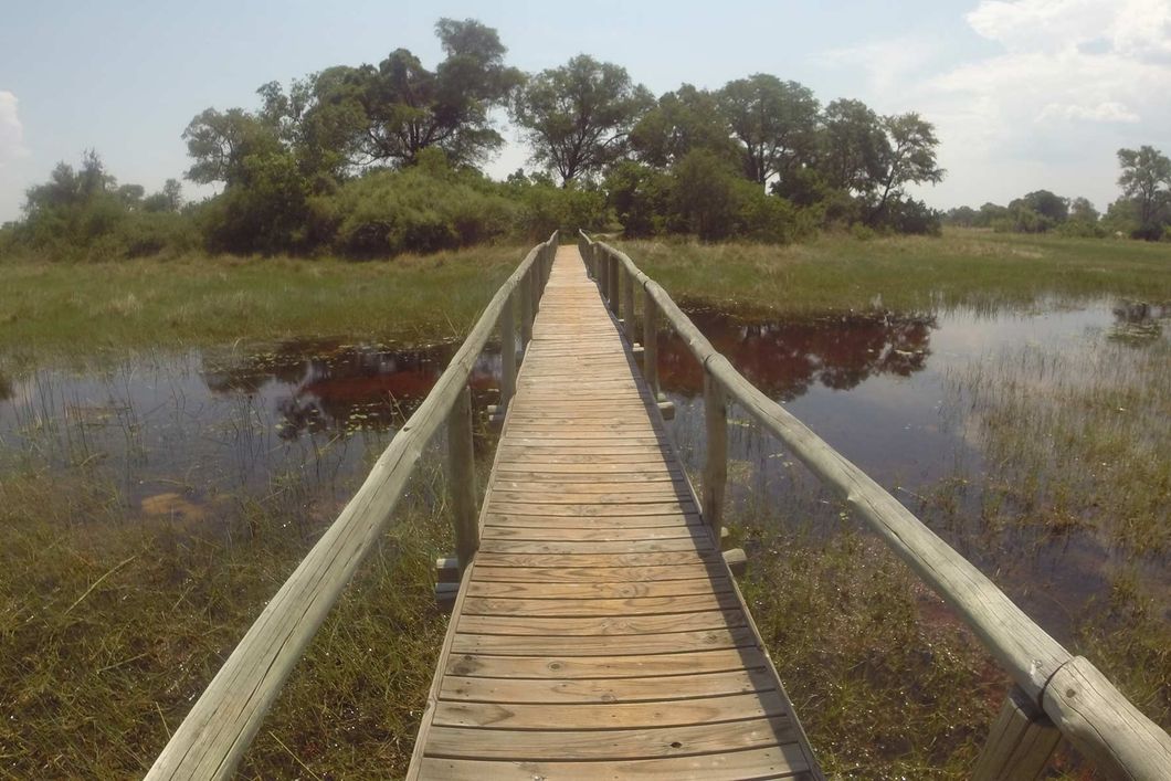 Eine Holzbruecke fuehrt auf eine der zahlreichen gruenen Inseln von Botswanas Okavango Delta.