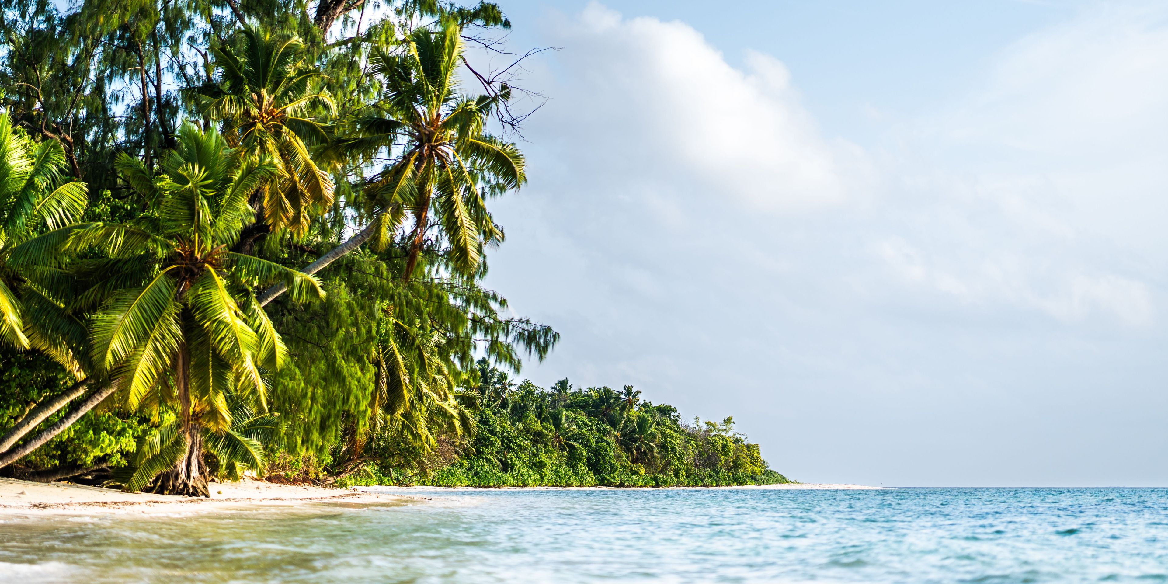 natucate-travel-volunteering-seychelles-platte-island-beach-palmtrees