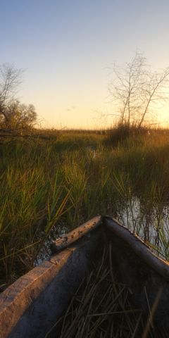 natur-und-rangerkurs-botswana-afrika-fieldguide-guide-mokoro-sonne-natucate