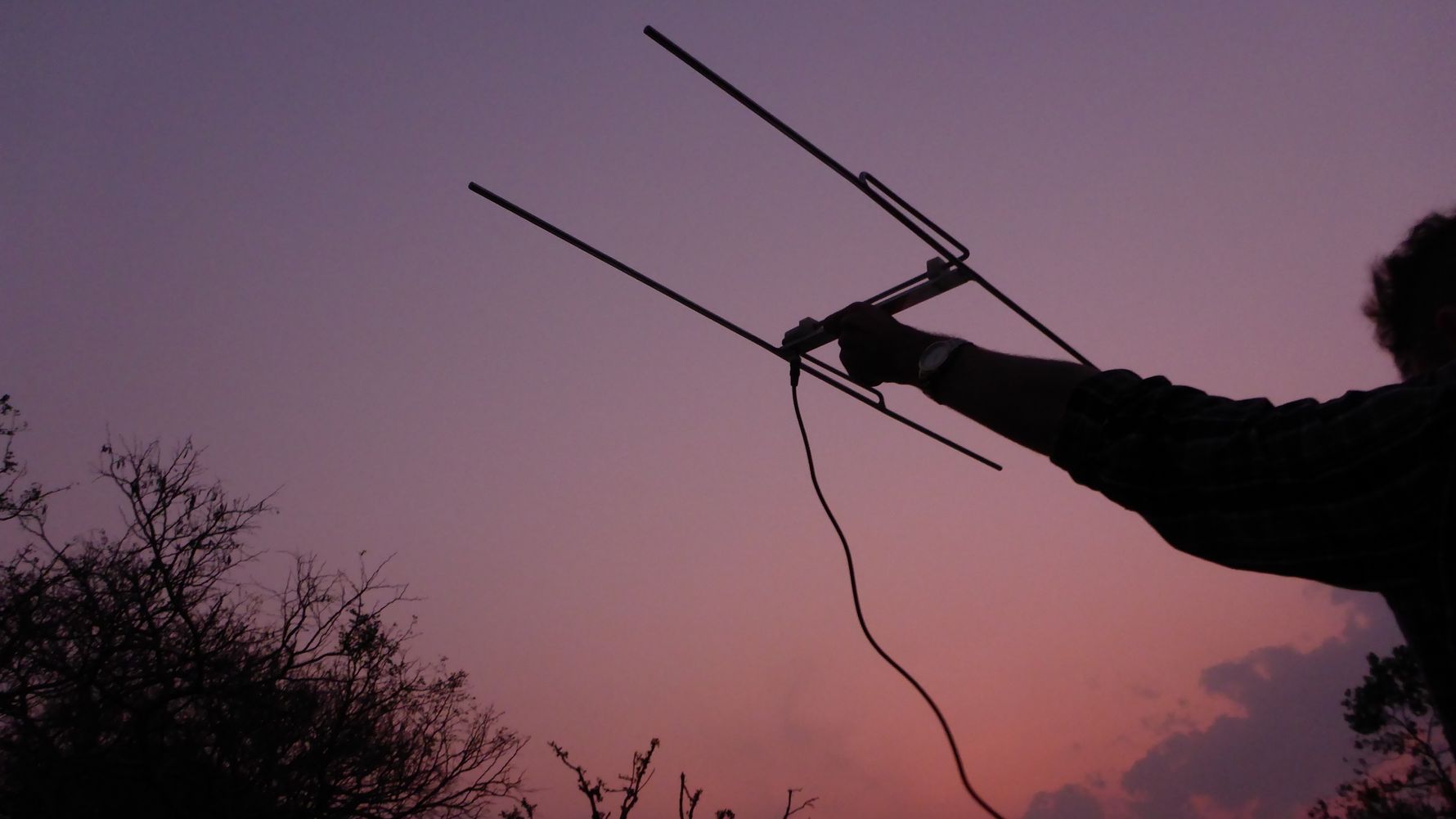 artenschutz-antenne-abend-telemetrie-und-ueberwachung-von-wildtieren-blog-natucate