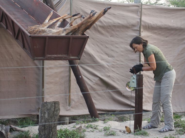 artenschutz-boma-blog-natucate-zaun-fuetterung-natucate