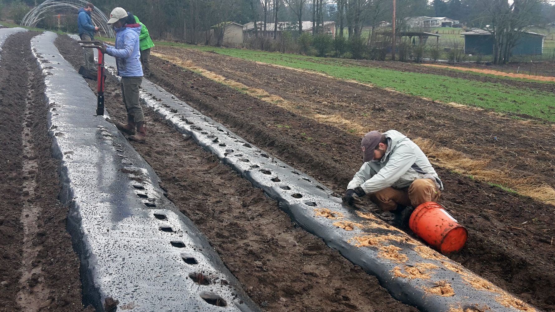 blog-ratgeber-haeufig-gestellte-fragen-auslandspraktikum-praktikum-usa-landwirtschaft-natucate