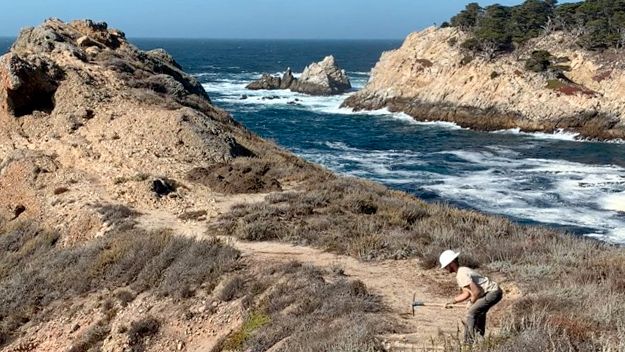 erfahrungsbericht-freiwilligenarbeit-naturschutz-usa-kalifornien-philip-volunteer-kueste-natucate