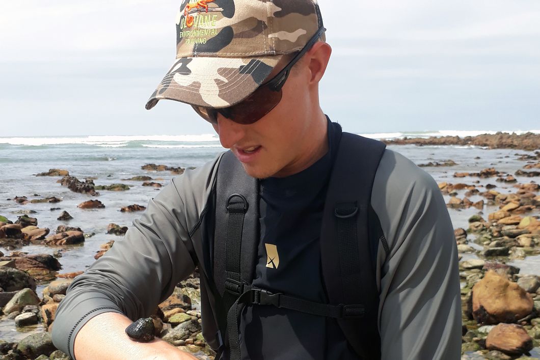 Marine Guide-Student steht an der Kueste Suedafrikas und beaeugt eine Schnecke, die auf seinem Unterarm sitzt