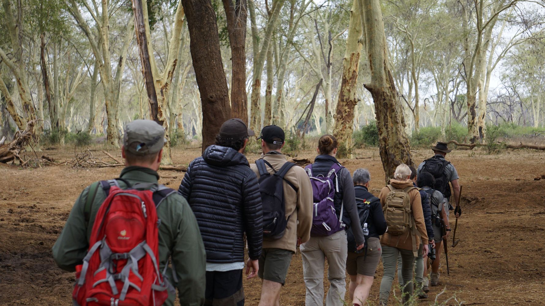 blog-ratgeber-safaris-vorausetzungen-walking-safari-natucate