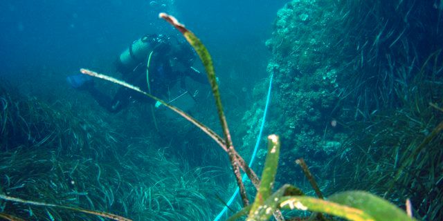 freiwilligenarbeit-spanien-denia-naturschutz-europa-tauchen-mittelmeer-natucate