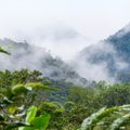 natucate-country-info-ecuador-anden-mindo