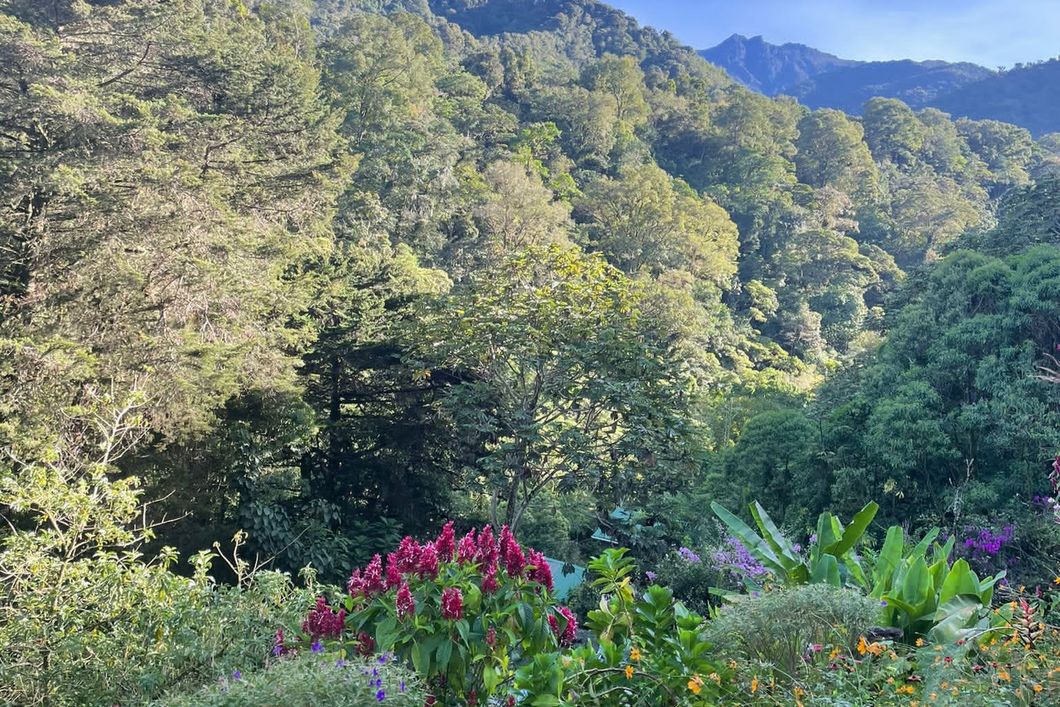 freiwilligenarbeit-costa-rica-waldschutz-natur-ausblick