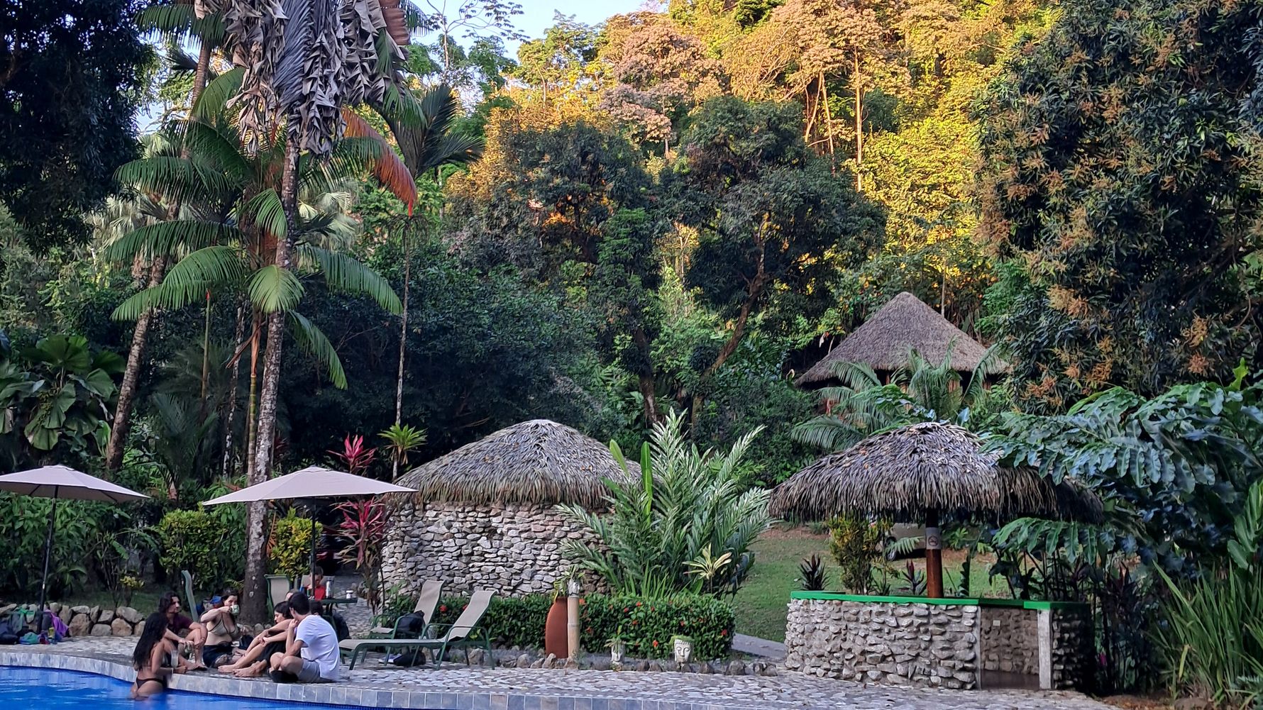 natucate-review-costa-rica-turtle-amelie-pool