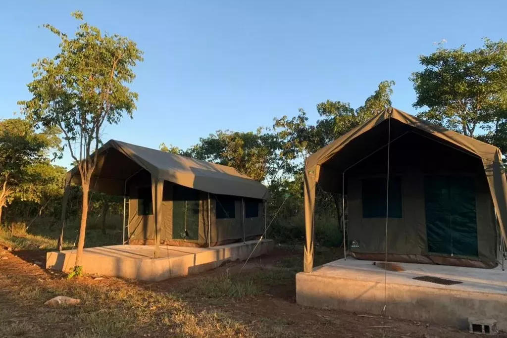 freiwilligenarbeit-sambia-artenschutz-elefant-zelte-natucate.jpg