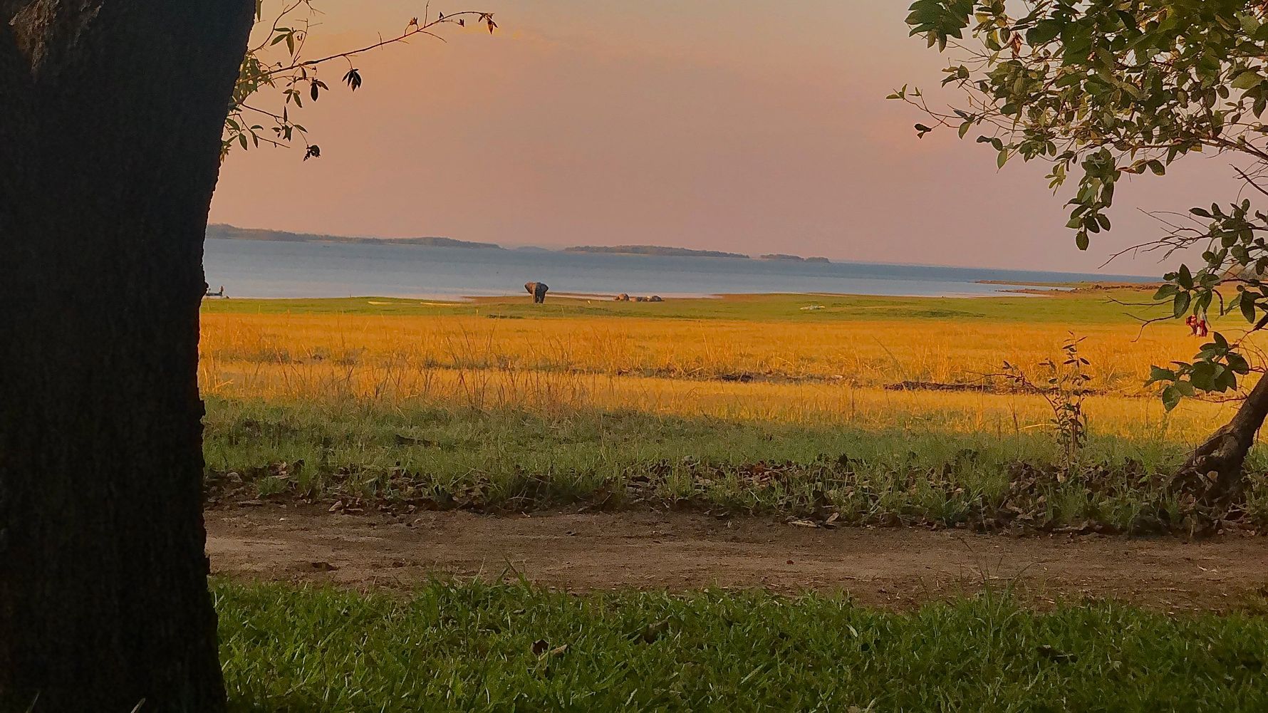 natucate-blog-review-sambia-klara-landscape
