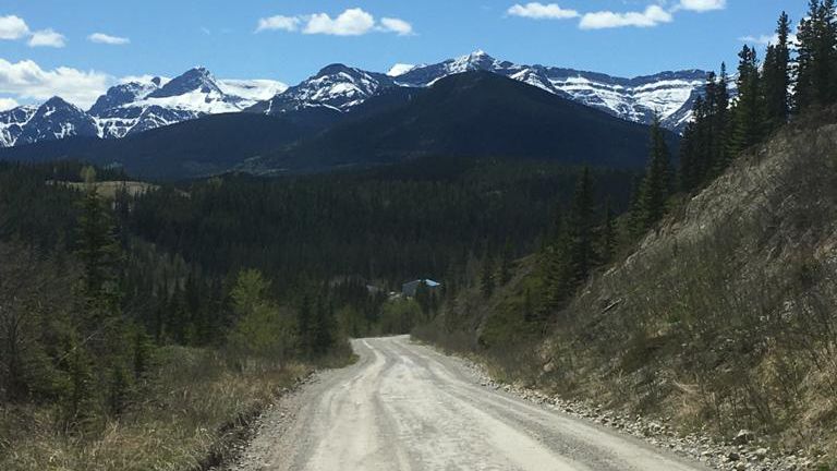 erfahrungsbericht-freiwilligenarbeit-kanada-alberta-pferdeschutz-anna-gebirge-natucate