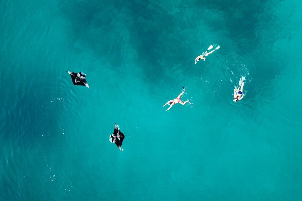 natucate-nature-travel-maldives-manta-conservation-expedition-snorkelling-people