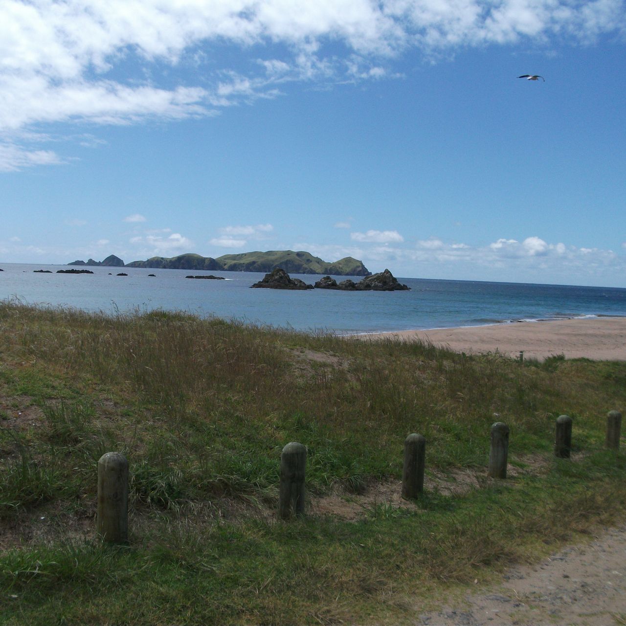 volunteering-neuseeland-ozeanien-naturschutz-erfahrungsbericht-strand-natucate