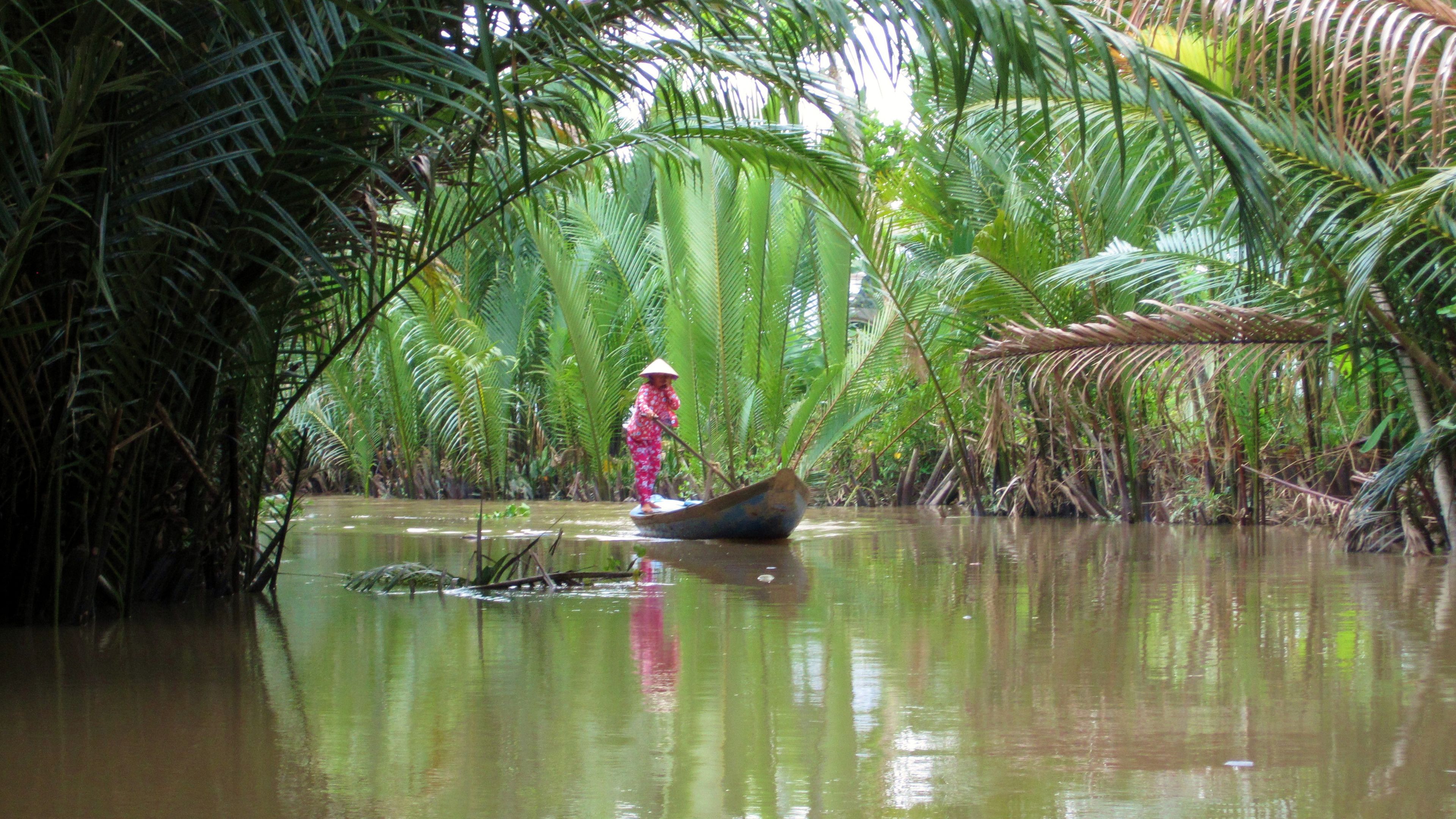 Vietnam's Empty Forests - The New York Times