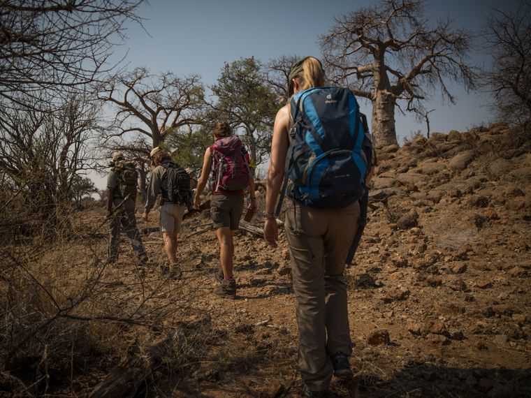 Die angehenden Ranger wandern im Rahmen einer Pirschwanderung durch die trockene Naturlandschaft Afrikas