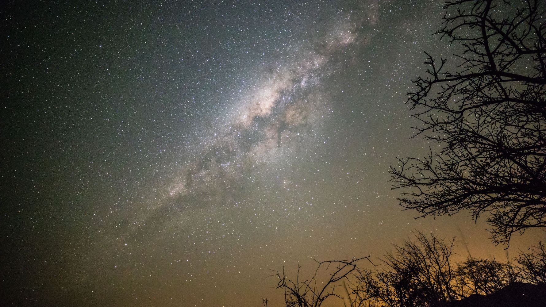 Field-Guide-Ausbildung: Blick von der afrikanischen Savanne auf die Milchstrasse