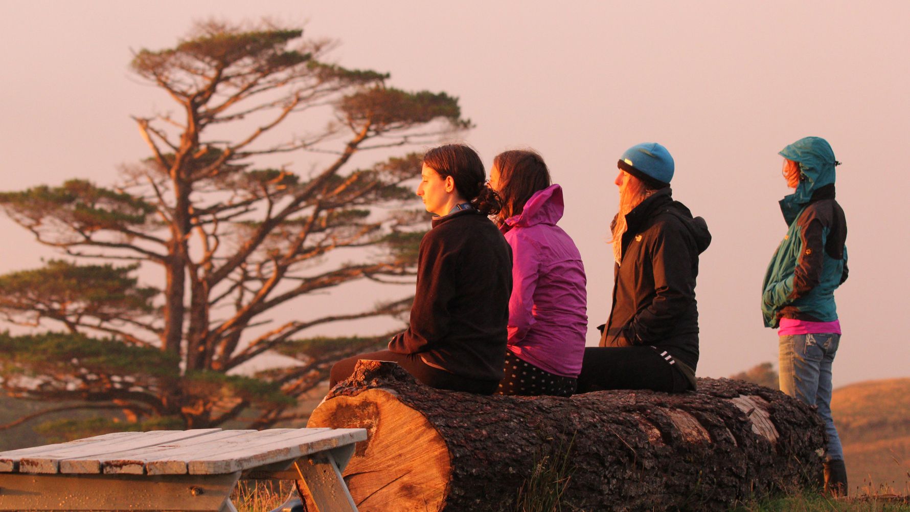 landingpage-digital-detox-reisen-freiwilligenarbeit-neuseeland-kauri-coast-natucate